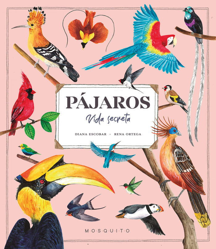 PAJAROS VIDA SECRETA, de ESCOBAR,DIANA | portada del libro