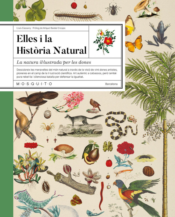 ELLES I LA HISTORIA NATURAL, de CASSANY, LLUIS | portada del libro