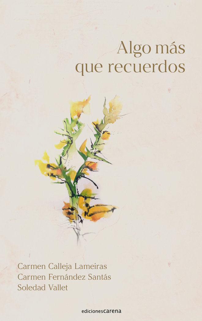 ALGO MAS QUE RECUERDOS, de CALLEJA LAMEIRAS, CARMEN | portada del libro