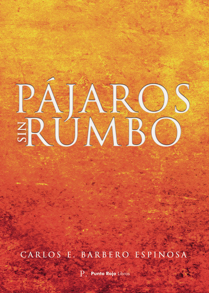 Pájaros sin rumbo, de Barbero Espinosa, Carlos E. | portada del libro