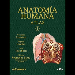 VOL I ANATOMIA HUMANA ATLAS INTERACTIVO MULTIMEDIA, SEGUN, de ANASTASI, GIUSEPPE | portada del libro