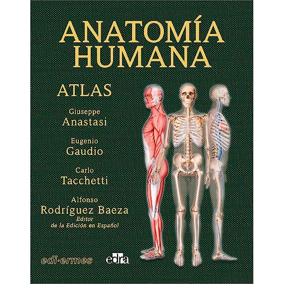 VOL II ANATOMIA HUMANA ATLAS INTERACTIVO MULTIMEDIA, SEGU, de ANASTASI, GIUSEPPE | portada del libro