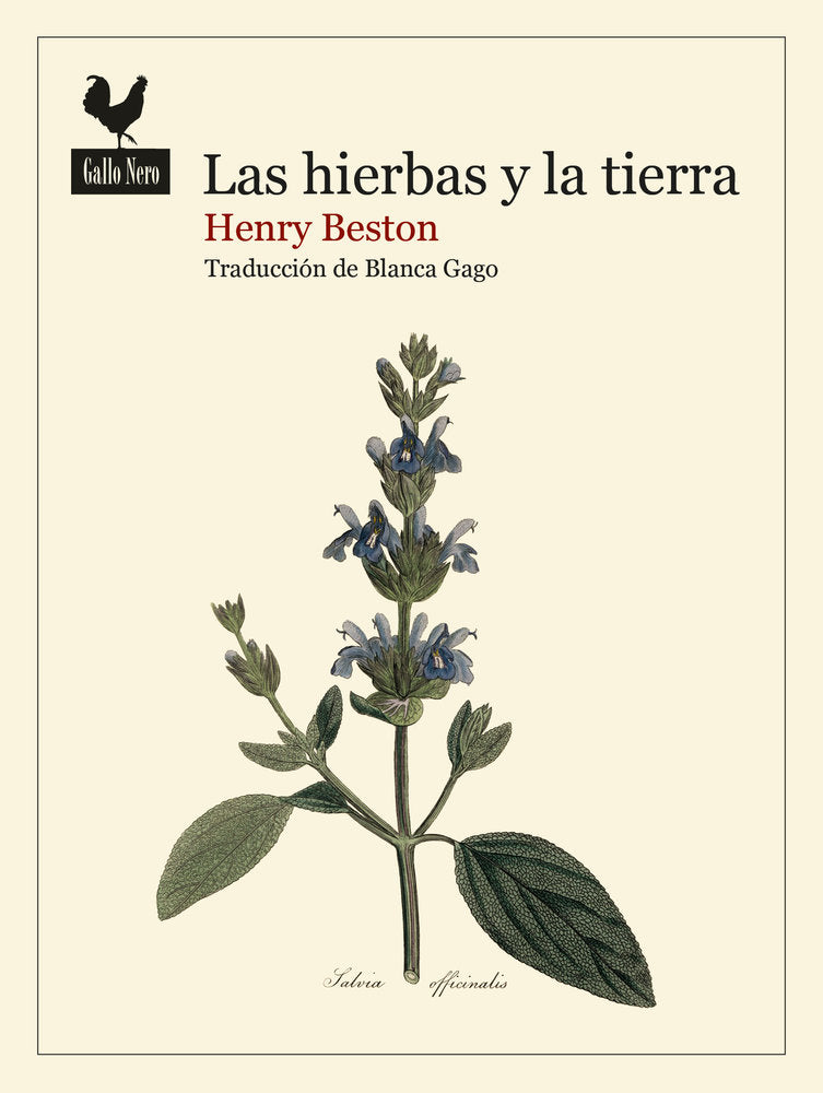 LAS HIERBAS Y LA TIERRA, de BESTON, HENRY | portada del libro