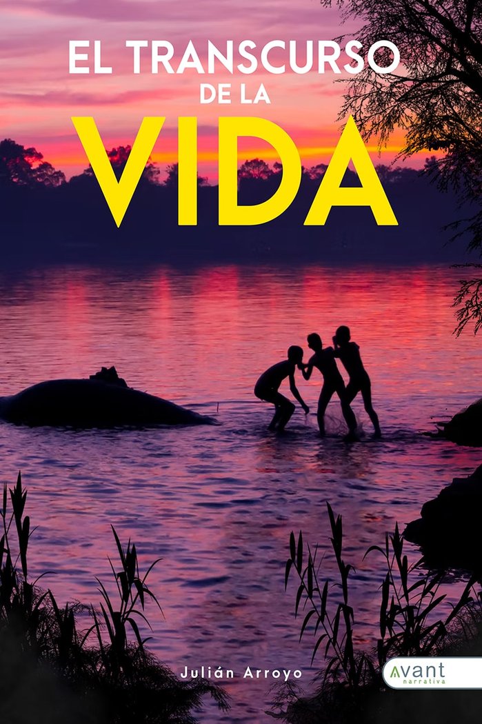 EL TRANSCURSO DE LA VIDA, de Arroyo Pomeda, Julián | portada del libro