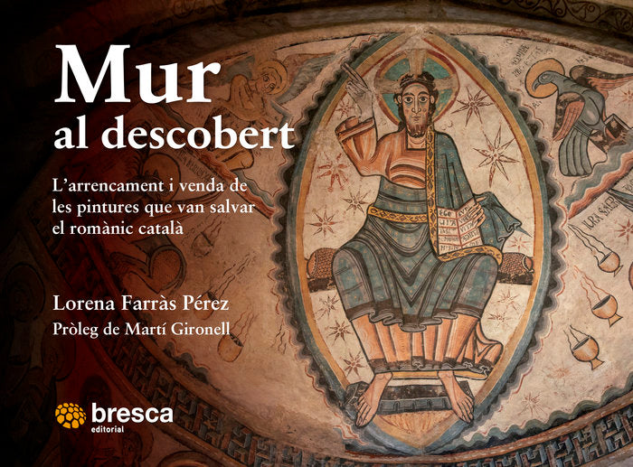 MUR AL DESCOBERT, de FARR·S PEREZ | portada del libro