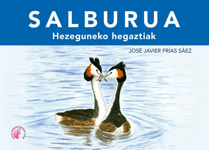 SALBURUA, de Frías, José Javier | portada del libro