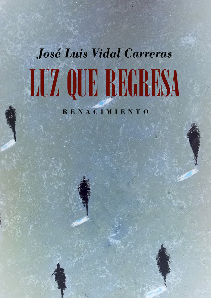 LUZ QUE REGRESA, de VIDAL CARRERAS, JOSE LUIS | portada del libro