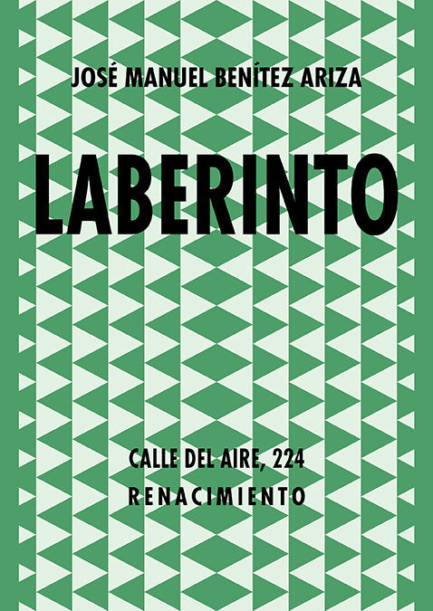 LABERINTO, de BENITEZ ARIZA, JOSE MANUEL | portada del libro