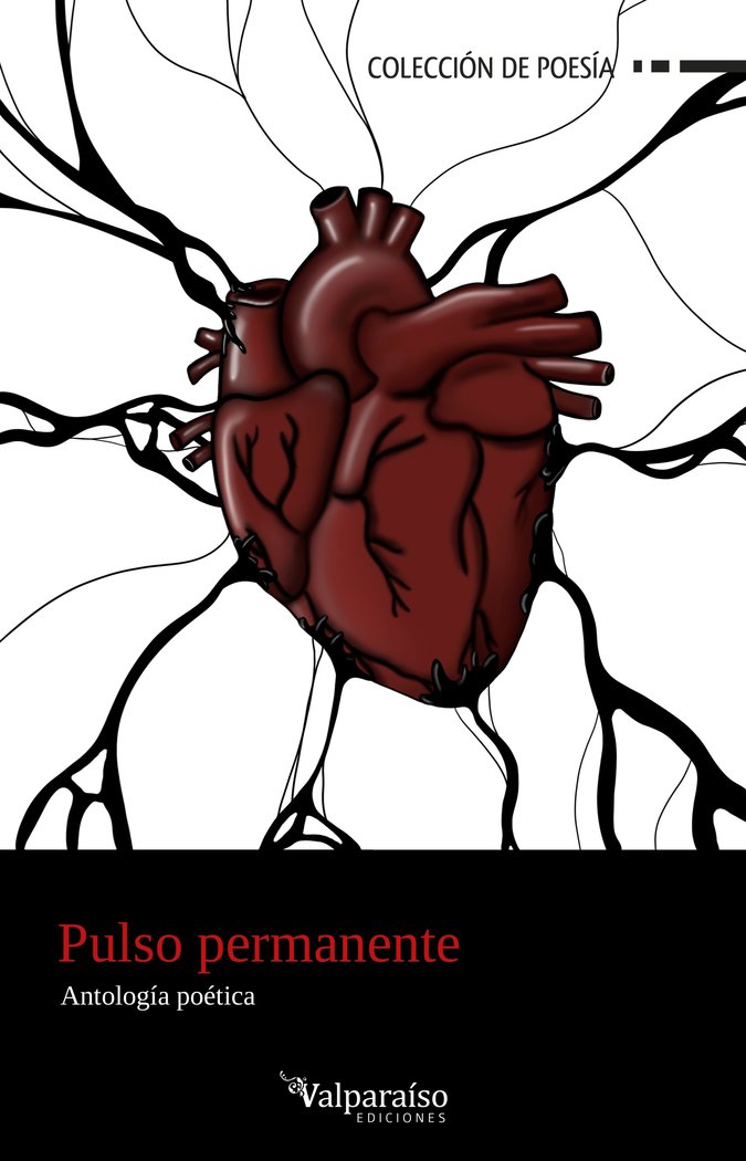 PULSO PERMANENTE, de VV., AA. | portada del libro