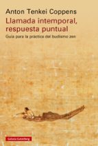 LLAMADA INTEMPORAL, RESPUESTA PUNTUAL, de Anton Tenkei Coppens | portada del libro