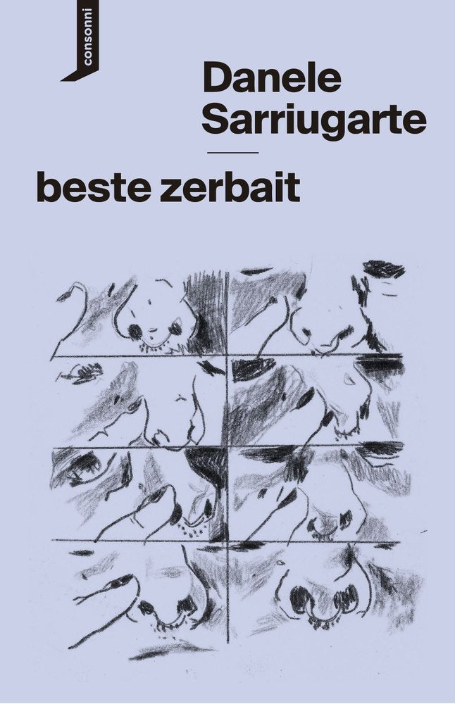 BESTE ZERBAIT, de SARRIUGARTE, DANELE | portada del libro