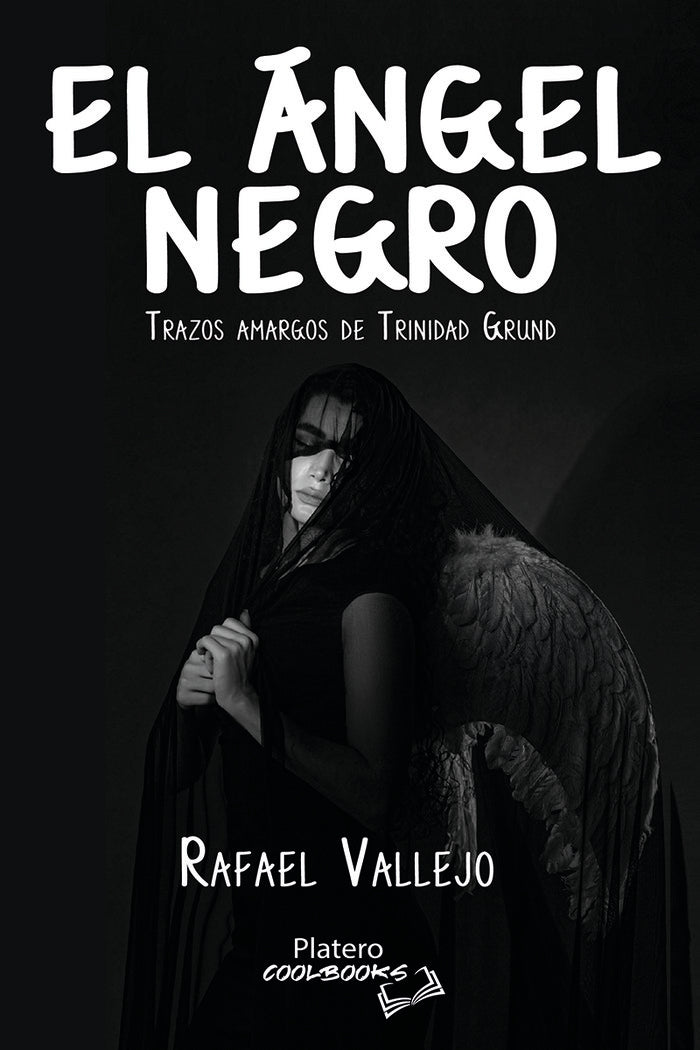 EL ÁNGEL NEGRO, de VALLEJO MOLERO, RAFAEL | portada del libro