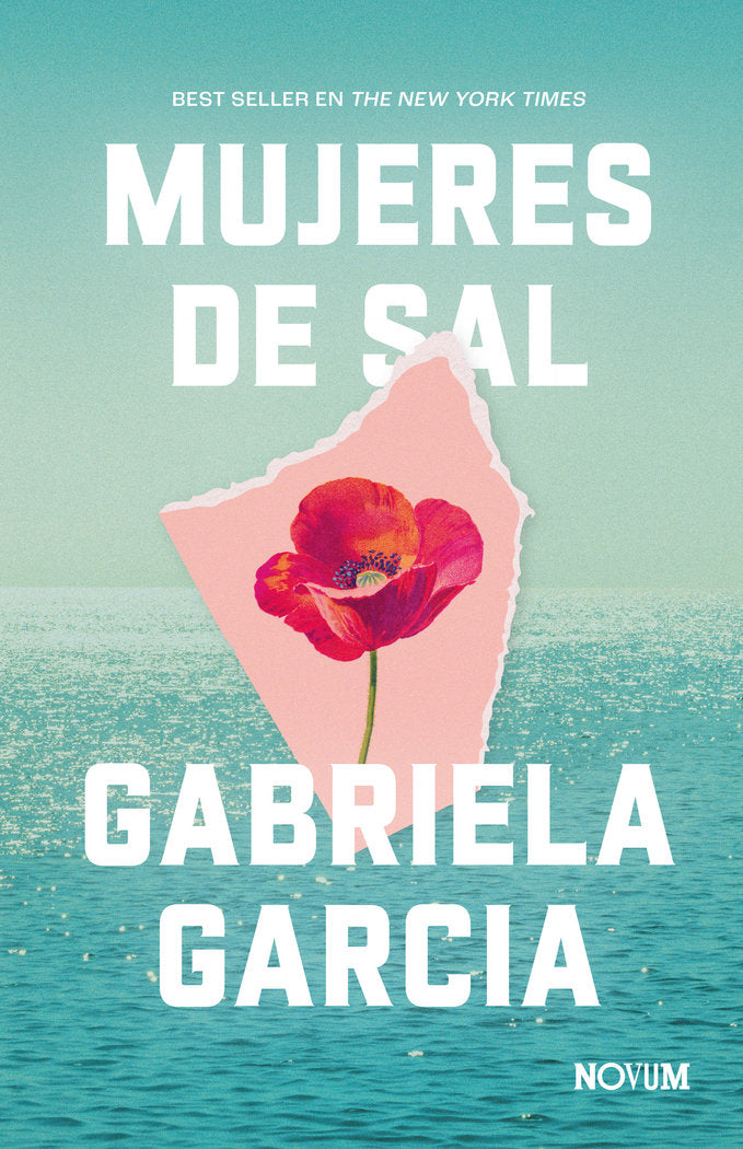MUJERES DE SAL, de GARCIA, GABRIELA | portada del libro