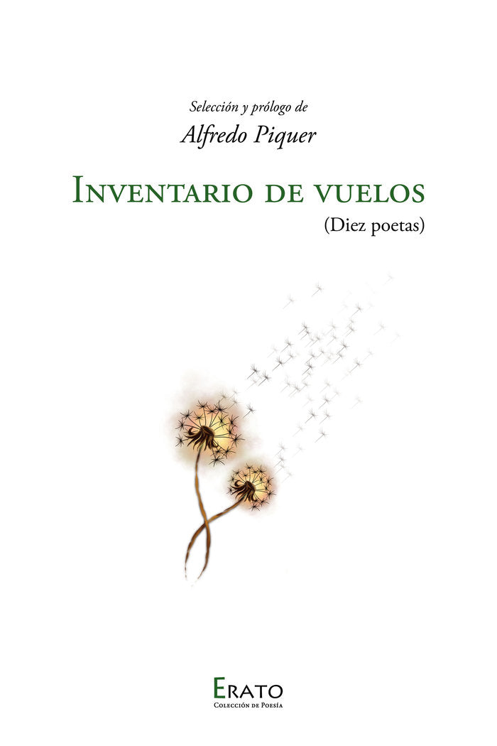 INVENTARIO DE VUELOS, de R. BLANCO, ANDRES | portada del libro