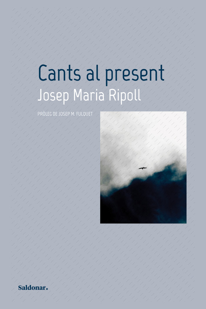CANTS AL PRESENT, de RIPOLL, JOSEP MARIA | portada del libro