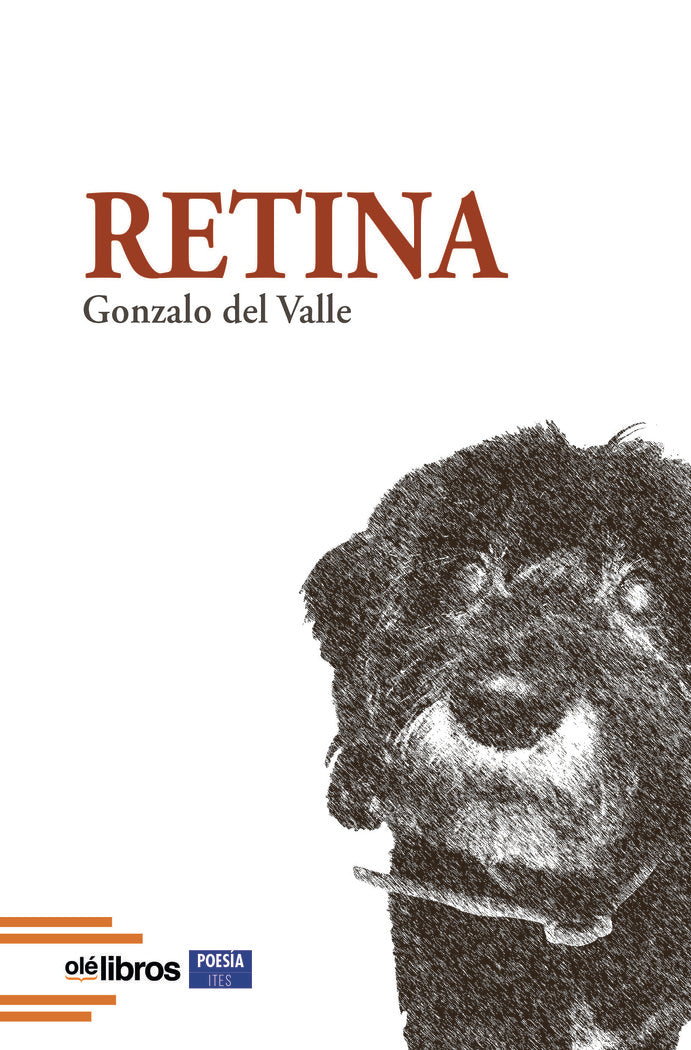 RETINA, de del Valle Sánchez, Gonzalo | portada del libro