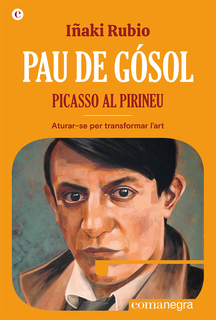 PAU DE GOSOL PICASSO AL PIRINEU, de RUBIO, IÑAKI | portada del libro