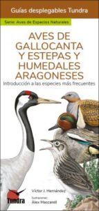AVES DE GALLOCANTA Y ESTEPAS Y HUMEDALES ARAGONESES - GUIAS DESPLEGABLES TUNDRA, de Víctor J. Hernández | portada del libro