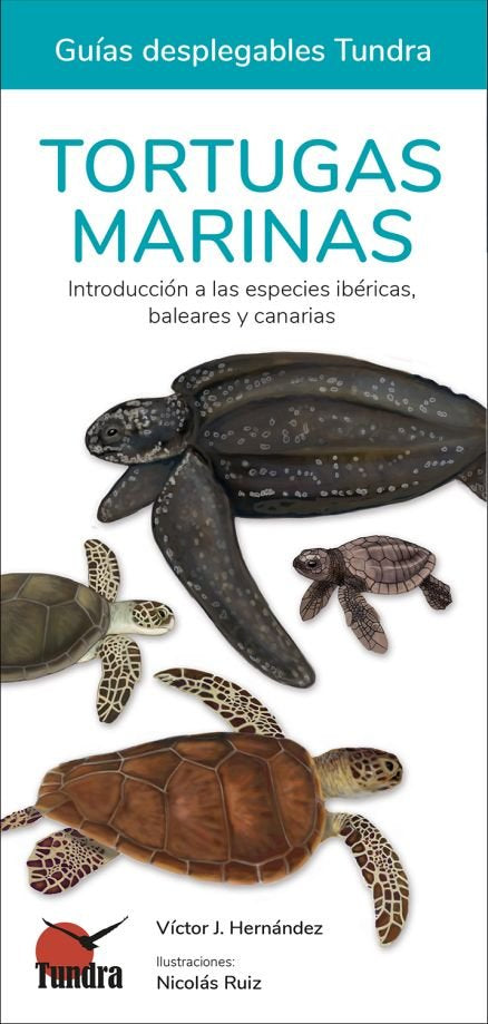 TORTUGAS MARINAS - GUIAS DESPLEGABLES TUNDRA | portada del libro