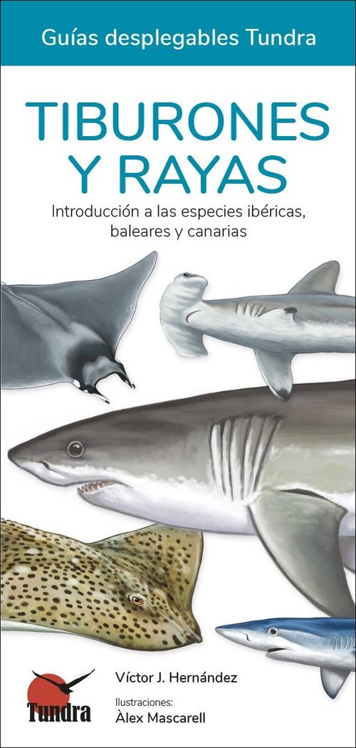 TIBURONES Y RAYAS - GUIAS DESPLEGABLES TUNDRA | portada del libro