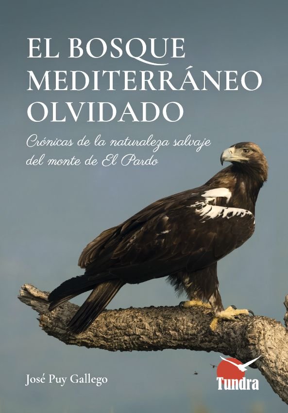 BOSQUE MEDITERRANEO OLVIDADO, EL, de PUY GALLEGO | portada del libro
