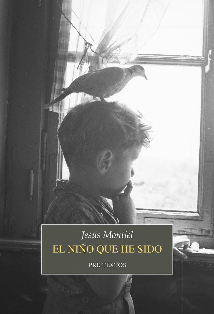NIÑO QUE HE SIDO, EL, de MONTIEL | portada del libro