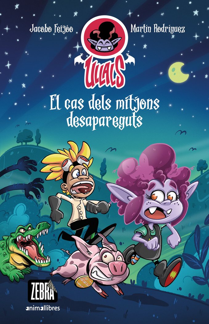 El cas dels mitjons desapareguts, de JACOBO FEIJOO | portada del libro
