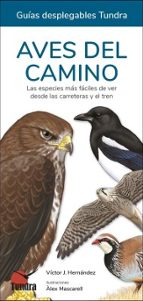 AVES DEL CAMINO - GUIAS DESPLEGABLES TUNDRA, de Víctor J. Hernández | portada del libro