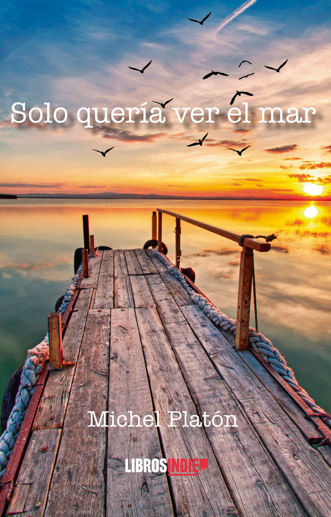 Solo quería ver el mar, de Platón, Michel | portada del libro