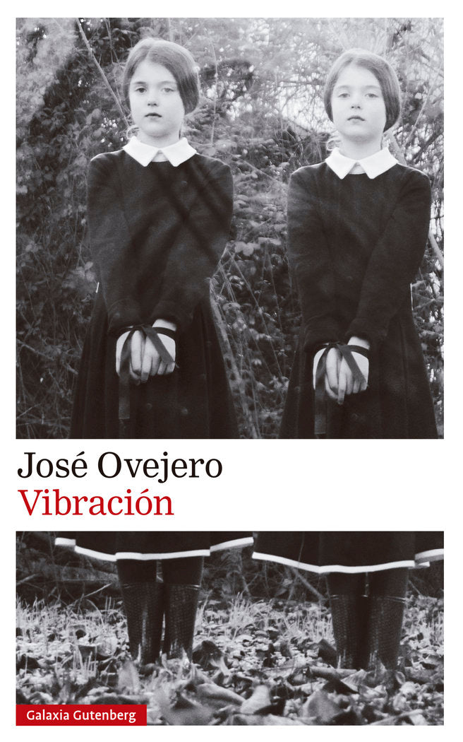 VIBRACIÓN, de OVEJERO | portada del libro