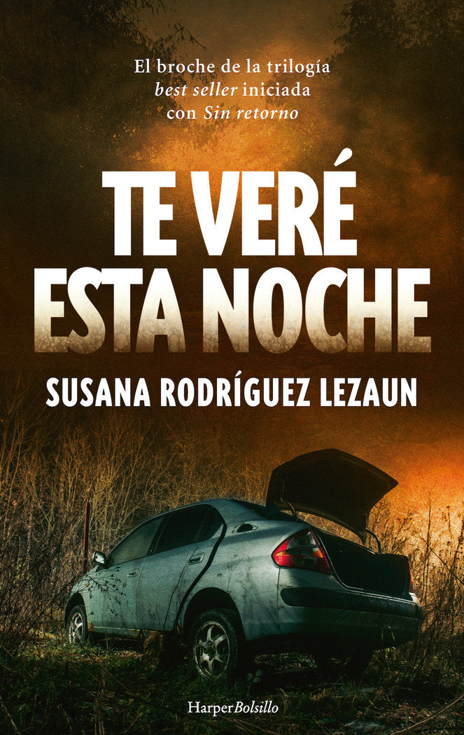 TE VERE ESTA NOCHE, de RODRIGUEZ LEZAUN | portada del libro