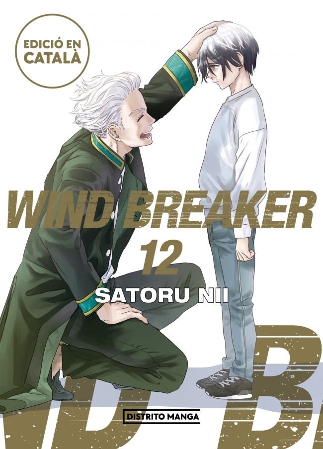 WIND BREAKER 12, de SATORU NII | portada del libro