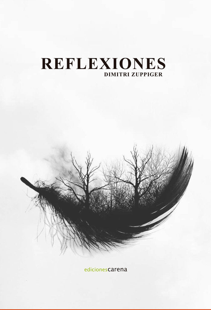 REFLEXIONES, de ZUPPIGER, DIMITRI | portada del libro