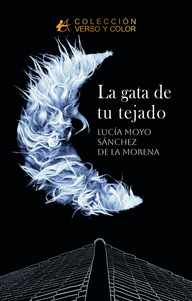 La gata de tu tejado, de Moyo Sánchez de la Morena, Lucía | portada del libro