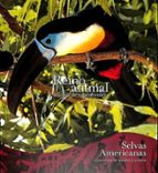 SELVAS AMERICANAS SE, de Varios autores | portada del libro
