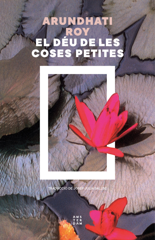 EL DEU DE LES COSES PETITES, de ROY, ARUNDHATI | portada del libro