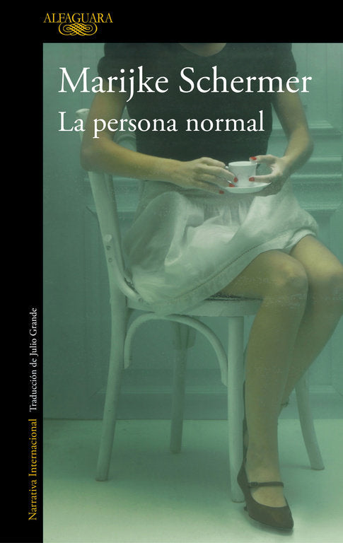 La persona normal, de Schermer, Marijke | portada del libro