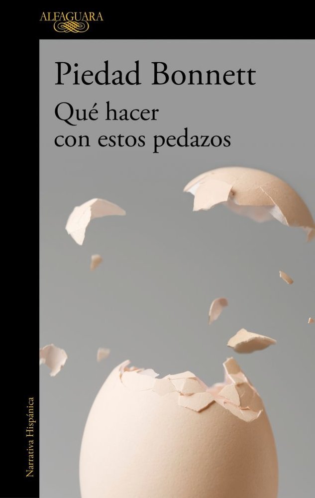 QUE HACER CON ESTOS PEDAZOS, de BONNETT, PIEDAD | portada del libro