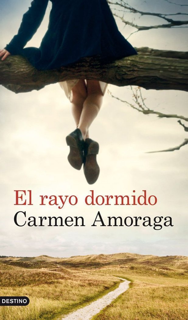 El rayo dormido, de Amoraga | portada del libro