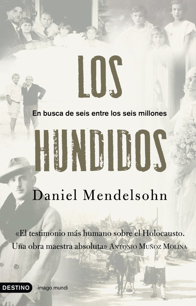Los hundidos, de Mendelsohn | portada del libro