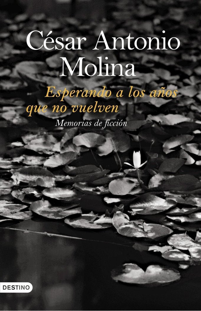 Esperando a los años que no vuelven, de Molina | portada del libro