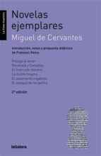 Novelas ejemplares, de Miguel de Cervantes Saavedra | portada del libro