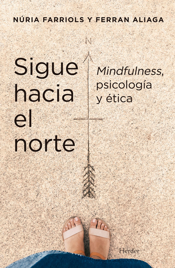 SIGUE HACIA EL NORTE, de FARRIOLS,NURIA | portada del libro