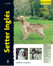Setter Inglés, de Cunliffe, Juliette | portada del libro