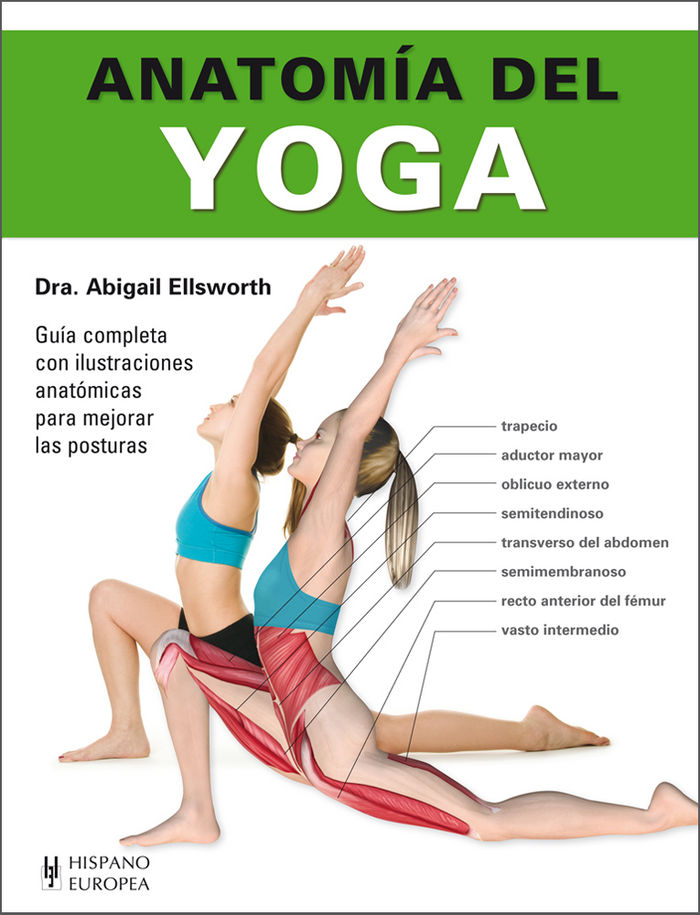 Anatomía del yoga, de Ellsworth, Abigail | portada del libro
