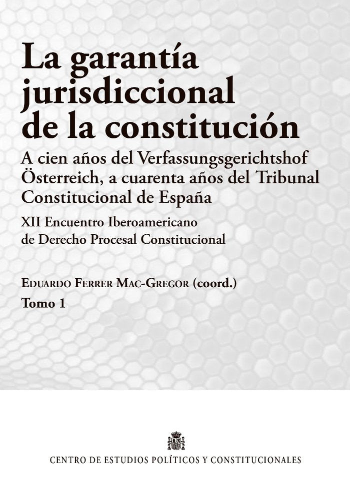LA GARANTIA JURISDICCIONAL DE LA CONSTITUCION, de VV. AA. | portada del libro