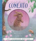 ES HORA DE VOLVER A CASA, CONEJITO (POP UP) (LIBRO SORPRESA), de JOHN BUTLER | portada del libro