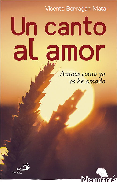 Un canto al amor, de Borragán Mata, Vicente | portada del libro