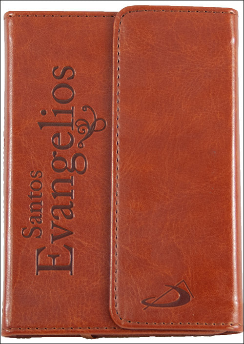 Los santos Evangelios, de Martín Nieto, Evaristo | portada del libro