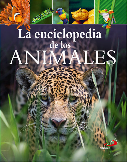 La enciclopedia de los animales, de Leach, Michael | portada del libro
